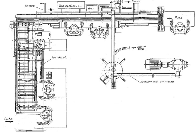 Машина автоматической разделки лососевых МАРЛ