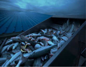 Оборудование<br>для мойки