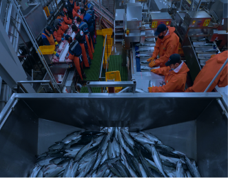 Оборудование<br>для разделывания